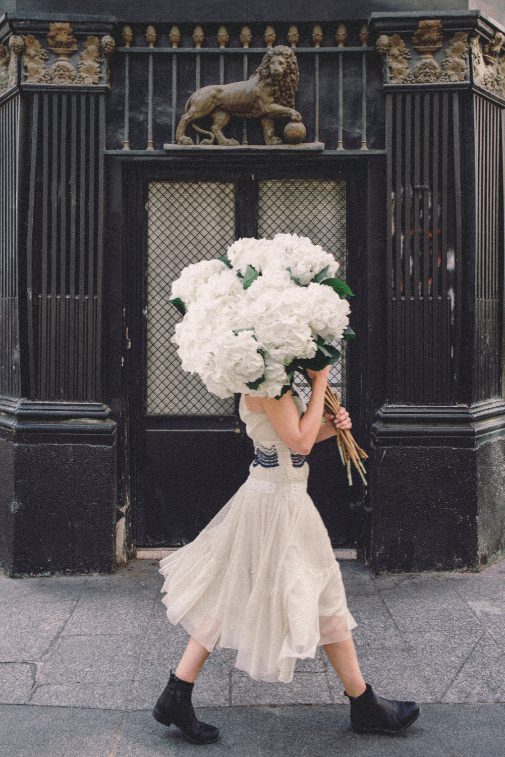 Going Places - Hydrangea Paris 10th