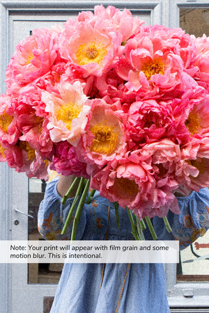 In Bloom - Peonies in the 6th
