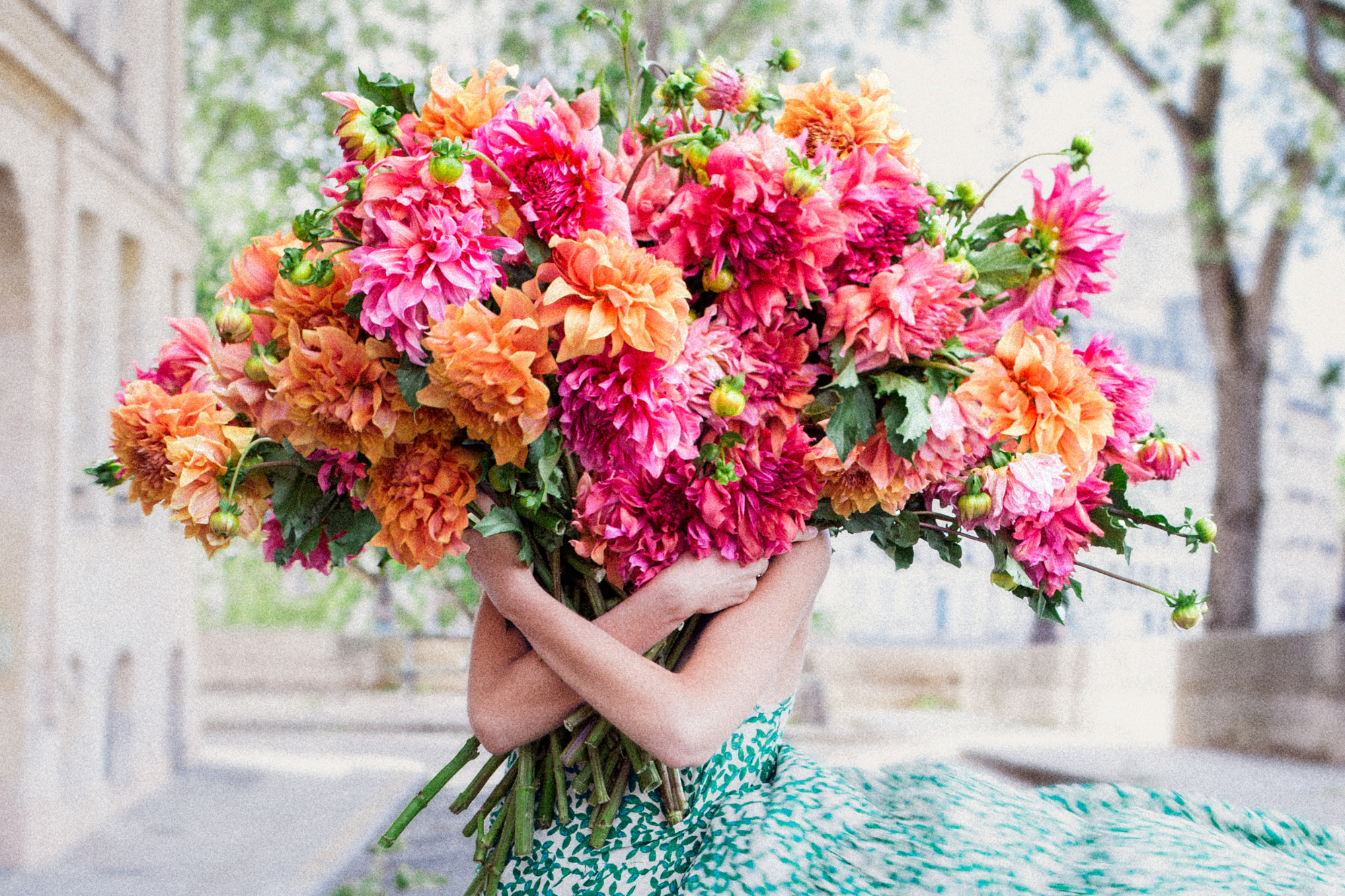 New Beginnings: On Being Featured in Flower Magazine