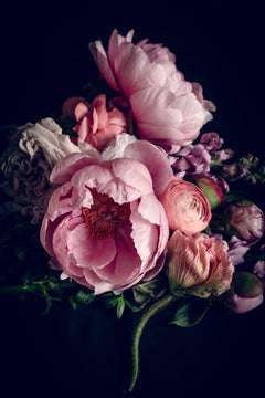 Honesty – delicate floral fine art print, Rewilding collection by Carla Coulson