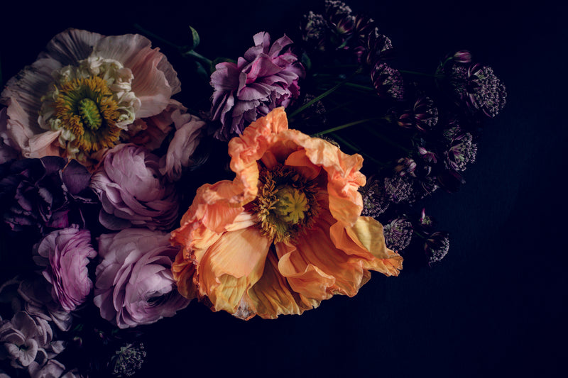 Innocence and Tenderness – fine art floral print from the Rewilding collection by Carla Coulson