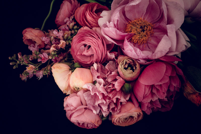 Opulence – lush botanical fine art print by Carla Coulson, Rewilding series