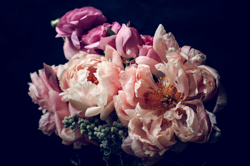 Yearning – emotive floral fine art print, Rewilding collection by Carla Coulson